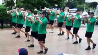 Towson 4th of July Parade 2015 (8110)