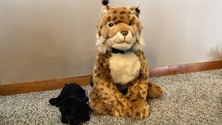 Teddy Hermann Lynx Plush Unboxing