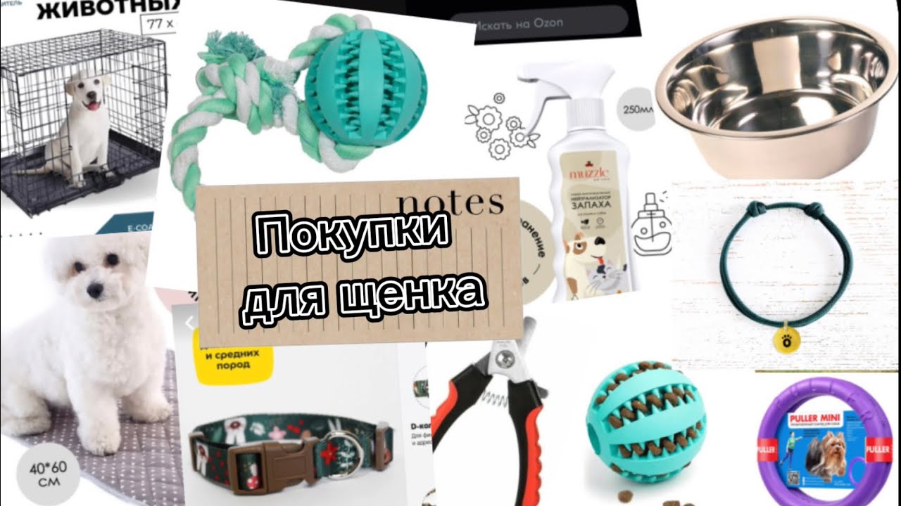 5. Условия проживания