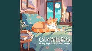 Soft Snore Symphony