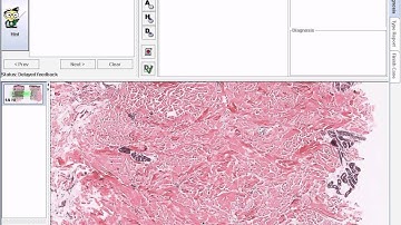 SimTutor virtual microscope