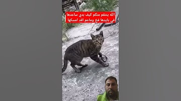 #قران_كريم #عبدالرحمن_مسعد من سوره الفرقان #اكسبلور #المصحف #cat #تصويري #duet