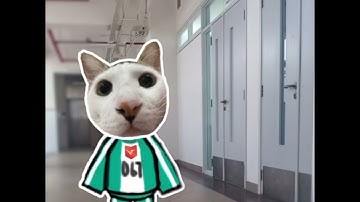 Video Dentory sinh vien RHM Dai Hoc Van Lang - nhóm 4