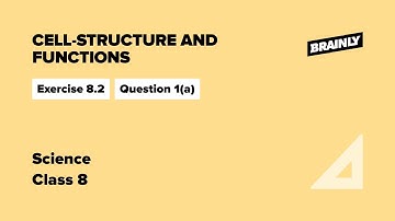 Cell-Structure and Functions | NCERT | Class 8 | Science | Exercise 8.2 Q.1(a)