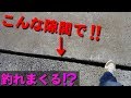 【隙間釣り】みんな見過ごす⁉こんな所で魚が釣れまくる‼