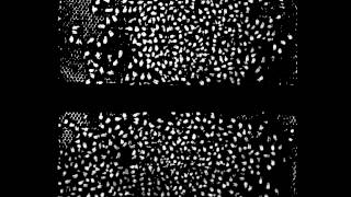 Adaptive thresholding of hive #4 (Masking)