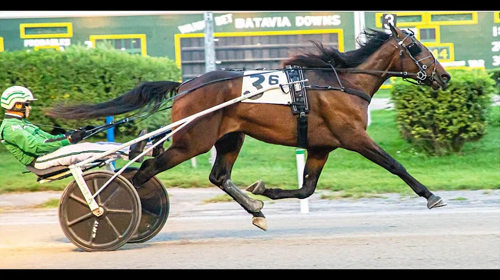 Cecil Hanover & ke Svanstedt won NYSS 2 YO C&G ($5...