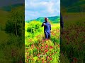 ربيع شمال الاردن حامد الفضلي كشتة الديدحان شيلة ربيع ذاع صيته في وطنا