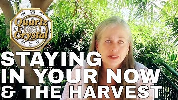 Staying In Your NOW While Knowing About The Harvest Information THE MATRIX, QUARTZ CRYSTAL