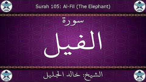 القرآن الكريم بصوت خالد الجليل - سورة الفيل