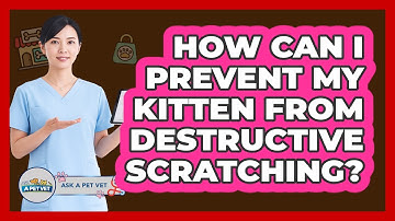 How Can I Prevent My Kitten From Destructive Scratching? - Ask A Pet Vet
