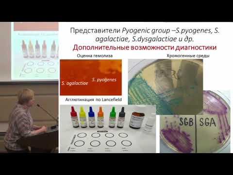 Жилина С.В., Известные и неизвестные стрептококки: аспекты лабораторной диагностики..