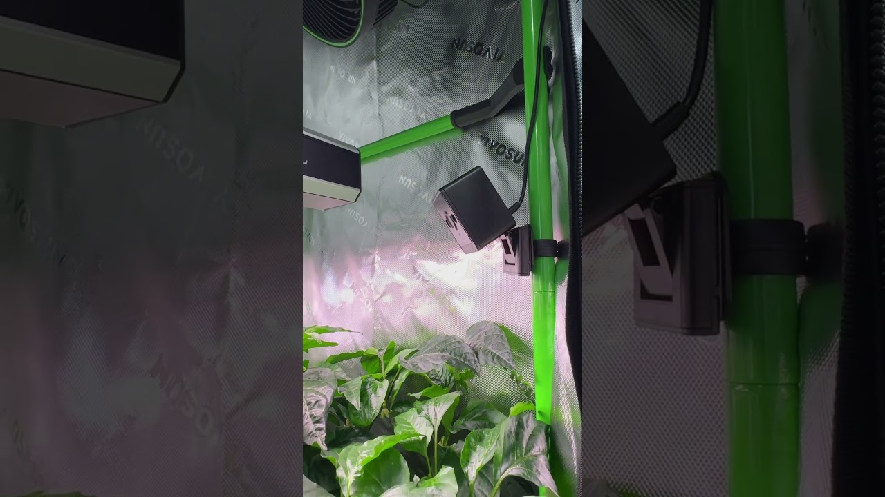 Grow tent camera, Vivosun GrowCam C4