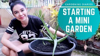 Starting A Mini Garden & Planting Aloe Vera-  Kerenvlogs