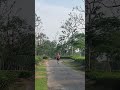 Running speed challenges @arleson10-p6z