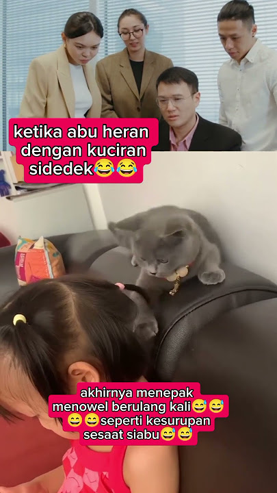 akhirnya ditowel😂😂#shortvideo #catfunny #jangkauanluas
