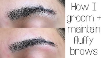 HOW TO: GROOM + SHAPE YOUR EYEBROWS AT HOME | super easy | painless
