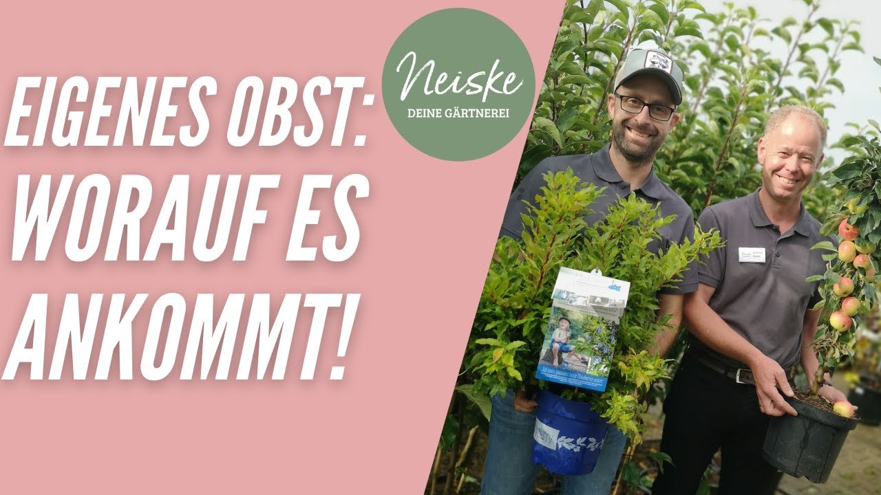 Obstbäume/Obstgehölze: Die 5 wichtigsten Tipps für erfolgreichen Obstanbau!