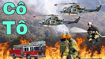 Tiếp Diễn Cháy Lớn.Cháy Dữ Dội.Cháy Rừng Núi Cô Tô Tri Tôn An Giang Và Công Tác Chữa Cháy!