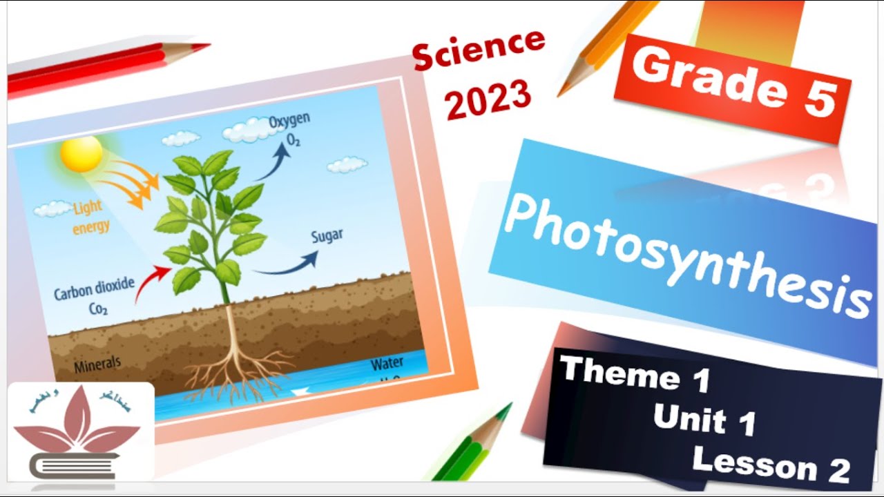 grade 11 life science assignment term 2 photosynthesis 2023 memo