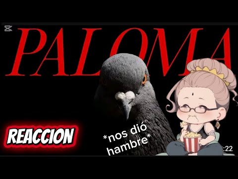 Fury reacciona " Porque hay Palomas en TODOS lados"