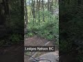 Mountain Biking Ledges Part 4