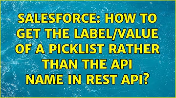 Salesforce: How to get the label/value of a picklist rather than the api name in REST API?