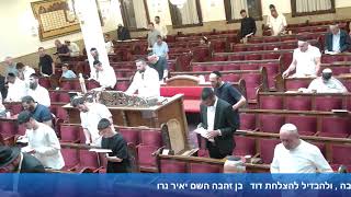 הרב אייל עמרמי - תפילת מנחה וערבית - כט' סיון תשפ"ו