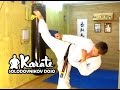 Уширо маваши вертушка удар с разворота / Ushiro mawashi geri / Техника кекусинкай каратэ  таэквондо