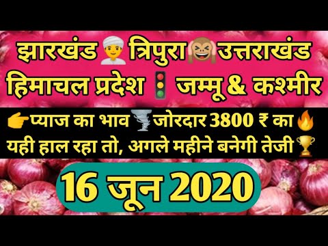 Onion Market Price 16 June 2020 | Onion Rate Today | Pyaj Ka Bhav