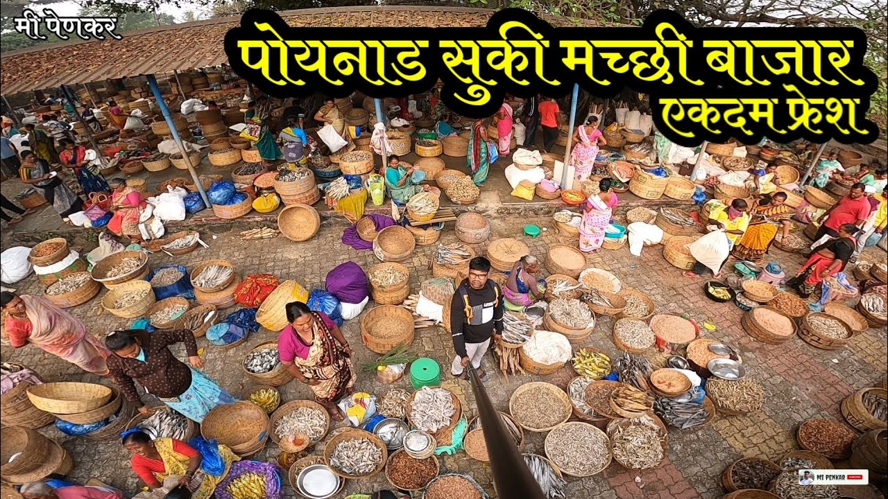 ||Dry fish market|| सुकी ताजी मच्छीचा अलिबाग-पोयनाडचा सर्वात मोठा आठवडा बाजार #poynaddryfishmarket
