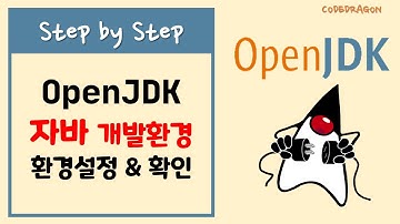 OpenJDK - 시스템 환경 변수 설정 & 동작 확인