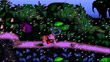 Donkey Kong Country %100 Completion - Ropey Rampage
