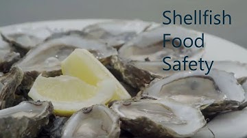 Shellfish Food Safety - Marine Institute