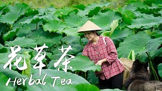 晚夏苦闷，来两壶茶吧！【滇西小哥】
