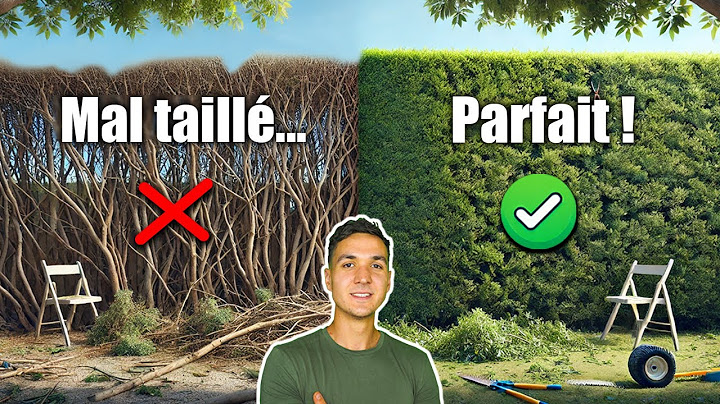 How to Trim and Mow a Hedge EASILY: ALL my Pro Tips!