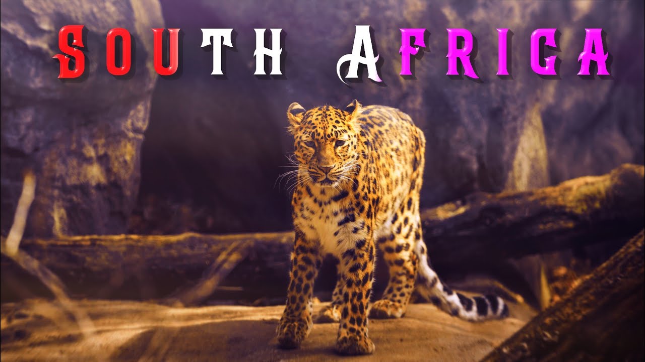 South Africa Wildlife & City Views 🇿🇦 | The Real Beauty of Nature (4K)