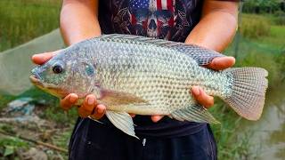 TRYING TO RELIVE MY CHILDHOOD WITH FISHING SURVIVAL SKILLS 🌳 #outdoors #bushcraft #survival