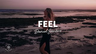 Daniel Santoro - Feel (Lyrics) Resimi