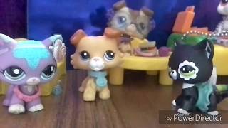LPS Сериал: "Любопытный извращенец 12+"-(Новые друзья) {2 серия} LPS Сериал: "Любопытный извращенец 12+"-(Новые друзья) {2 серия}