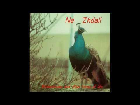 Ne Zhdali / Не Ждали - Rhino I
