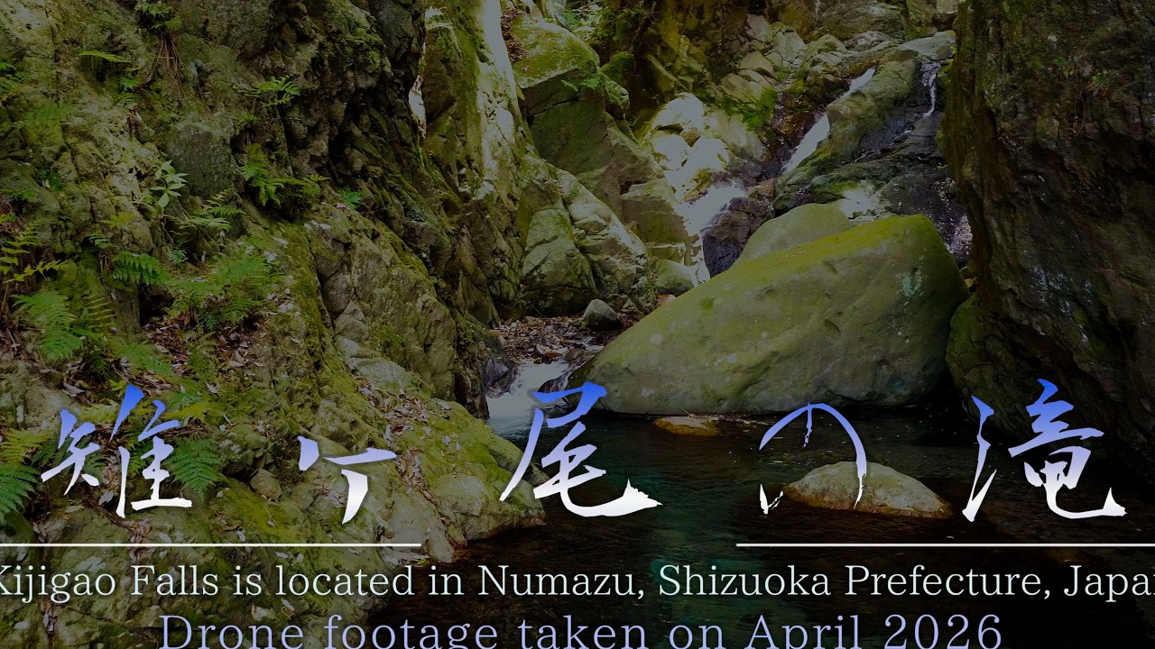 新緑の西伊豆「雉ヶ尾の滝」4kHDR Kijigao Falls in Nishi-Izu during