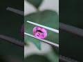 💎 Certified Natural Pink Sapphire Unheated – Direct from Sri Lanka