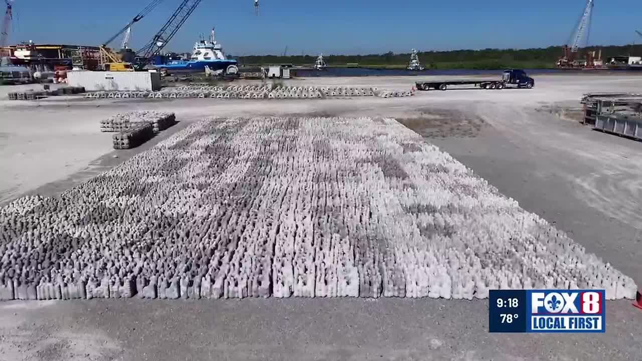3-D printer creates unique solution to protect Louisiana's coast