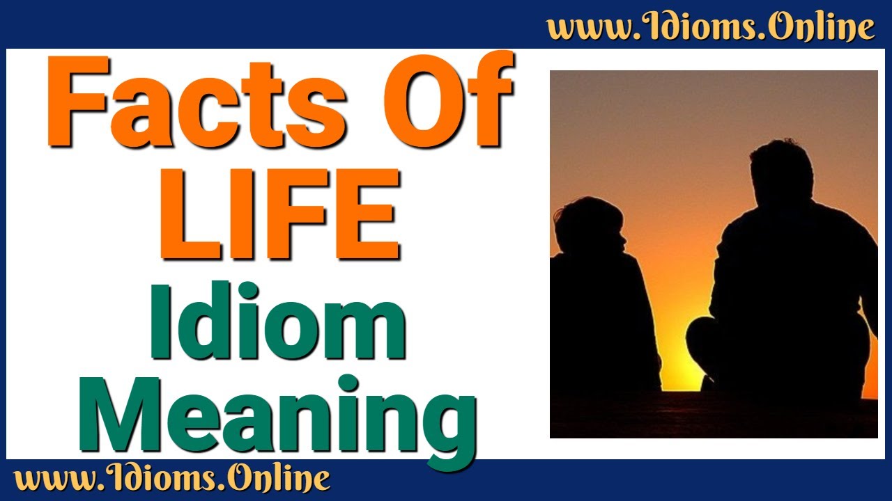 Facts Of Life Idioms Online