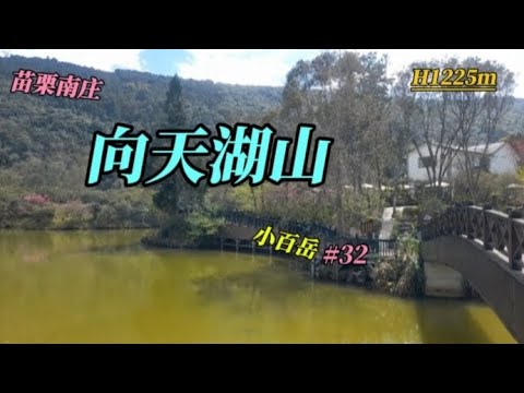 向天湖山 小百岳#32||苗栗南庄||舒暢健行的步道+綠意盎然的向天湖