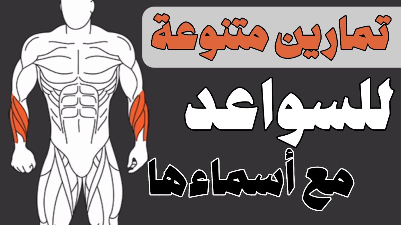 تمارين متنوعة لبناء عضلات الساعد مع اسم كل تمرين للإختيار بينها ...