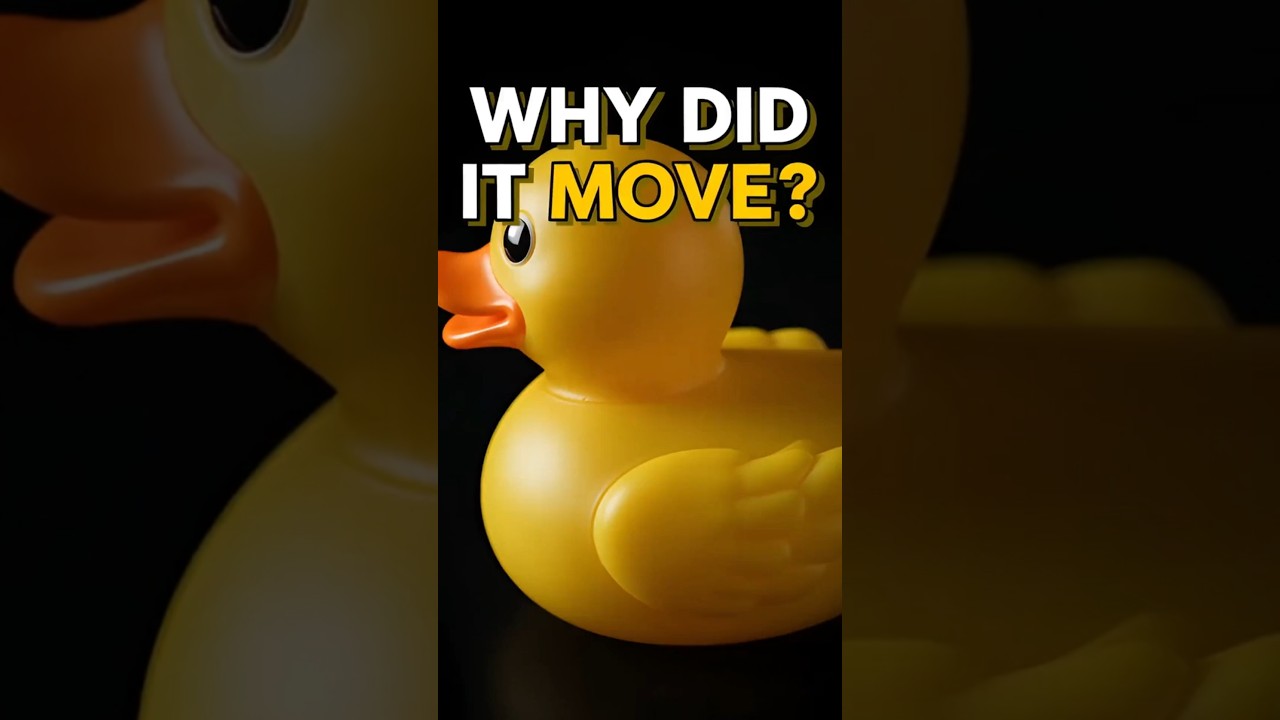 This Toy Duck Should NOT Move 🦆😳