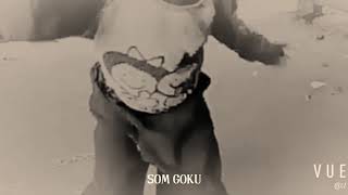 Video Tirado 43 Camada Da Deep Web