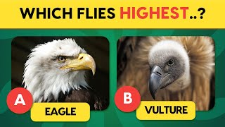 Ready To Roar Your Knowledge Of Animals? Animals Knowledge Trivia Quiz Wildlife Animals Quiz